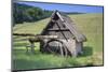 Mooswaldmühle, Black Forest, Baden-Wurttemberg, Black Forest-Markus Lange-Mounted Photographic Print