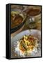 Moqueca Dish, Salvador (Salvador de Bahia), Bahia, Brazil, South America-Yadid Levy-Framed Stretched Canvas