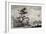 Morai or Burial Place with a Pig Being Offered as a Sacrifice to the Dead-null-Framed Giclee Print