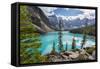 Moraine Lake and the Valley of the Ten Peaks, Banff National Park, UNESCO World Heritage Site, Cana-Frank Fell-Framed Stretched Canvas