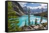 Moraine Lake and the Valley of the Ten Peaks, Banff National Park, UNESCO World Heritage Site, Cana-Frank Fell-Framed Stretched Canvas