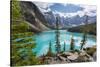 Moraine Lake and the Valley of the Ten Peaks, Banff National Park, UNESCO World Heritage Site, Cana-Frank Fell-Stretched Canvas