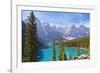 Moraine Lake in the Valley of the Ten Peaks-Neale Clark-Framed Photographic Print