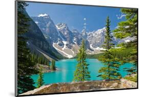 Moraine Lake Trail Banff Park-null-Mounted Art Print