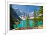 Moraine Lake Trail Banff Park-null-Framed Art Print