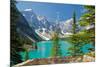 Moraine Lake Trail Banff Park-null-Mounted Art Print