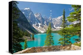 Moraine Lake Trail Banff Park-null-Stretched Canvas