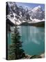 Moraine Lake with Mountains That Overlook Valley of the Ten Peaks, Banff National Park, Canada-Tony Waltham-Stretched Canvas