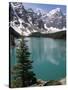 Moraine Lake with Mountains That Overlook Valley of the Ten Peaks, Banff National Park, Canada-Tony Waltham-Stretched Canvas