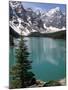 Moraine Lake with Mountains That Overlook Valley of the Ten Peaks, Banff National Park, Canada-Tony Waltham-Mounted Photographic Print