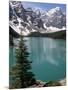 Moraine Lake with Mountains That Overlook Valley of the Ten Peaks, Banff National Park, Canada-Tony Waltham-Mounted Photographic Print