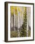 Moraine Park, Rocky Mountain National Park, Colorado, USA-Jamie & Judy Wild-Framed Photographic Print