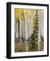 Moraine Park, Rocky Mountain National Park, Colorado, USA-Jamie & Judy Wild-Framed Photographic Print