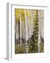 Moraine Park, Rocky Mountain National Park, Colorado, USA-Jamie & Judy Wild-Framed Photographic Print