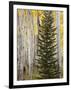 Moraine Park, Rocky Mountain National Park, Colorado, USA-Jamie & Judy Wild-Framed Photographic Print