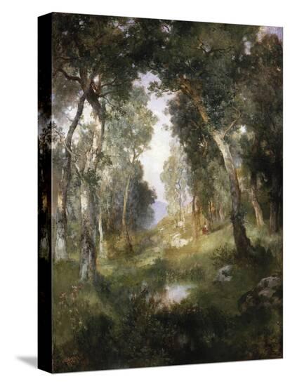 Stretched Canvas Print, , large