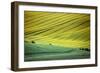 Moravia-Maciej Duczynski-Framed Photographic Print