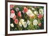 Morden's Blush-Shirley Novak-Framed Art Print