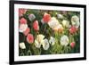 Morden's Blush-Shirley Novak-Framed Premium Giclee Print