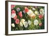 Morden's Blush-Shirley Novak-Framed Art Print