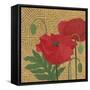 More Poppies with Pattern-Kathrine Lovell-Framed Stretched Canvas