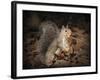 More Than You Can Chew Squirrel-Jai Johnson-Framed Giclee Print