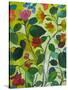 Morea Garden-Kim Parker-Stretched Canvas