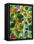 Morea Garden-Kim Parker-Framed Stretched Canvas