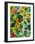 Morea Garden-Kim Parker-Framed Giclee Print