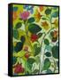 Morea Garden-Kim Parker-Framed Stretched Canvas