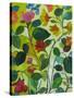 Morea Garden-Kim Parker-Stretched Canvas