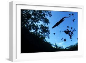 Morelet's Crocodile (Crocodylus Moreletii) Silhouetted in Sinkhole-Claudio Contreras-Framed Photographic Print