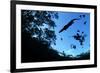 Morelet's Crocodile (Crocodylus Moreletii) Silhouetted in Sinkhole-Claudio Contreras-Framed Photographic Print