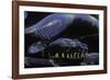 Morelia Boeleni (Black Python)-Paul Starosta-Framed Photographic Print