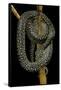 Morelia Spilota (Carpet Python)-Paul Starosta-Framed Stretched Canvas