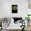 Morelia Viridis (Green Tree Python)-Paul Starosta-Framed Stretched Canvas displayed on a wall