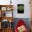 Morelia Viridis (Green Tree Python)-Paul Starosta-Photographic Print displayed on a wall