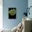 Morelia Viridis (Green Tree Python)-Paul Starosta-Mounted Photographic Print displayed on a wall