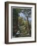 Morenia Poppigiana and Forest-null-Framed Giclee Print