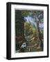 Morenia Poppigiana and Forest-null-Framed Giclee Print