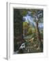 Morenia Poppigiana and Forest-null-Framed Giclee Print
