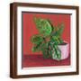 Brown Frame