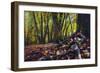 Morgane's Hands-Viviane Fedieu Daniel-Framed Photographic Print