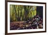 Morgane's Hands-Viviane Fedieu Daniel-Framed Photographic Print