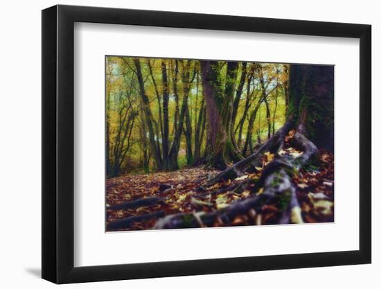 Morgane's Hands-Viviane Fedieu Daniel-Framed Photographic Print