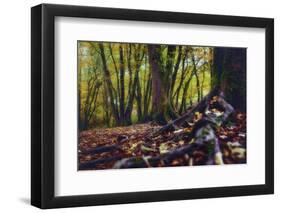 Morgane's Hands-Viviane Fedieu Daniel-Framed Photographic Print