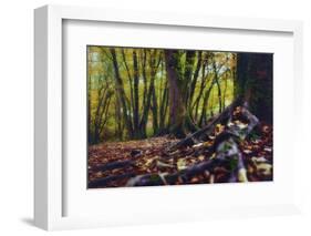 Morgane's Hands-Viviane Fedieu Daniel-Framed Photographic Print