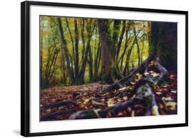 Morgane's Hands-Viviane Fedieu Daniel-Framed Photographic Print