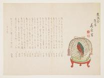 Parrot in a Cage, January 1864-Mori Gisho-Framed Giclee Print