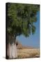 Moringa Tree-photofit-Stretched Canvas